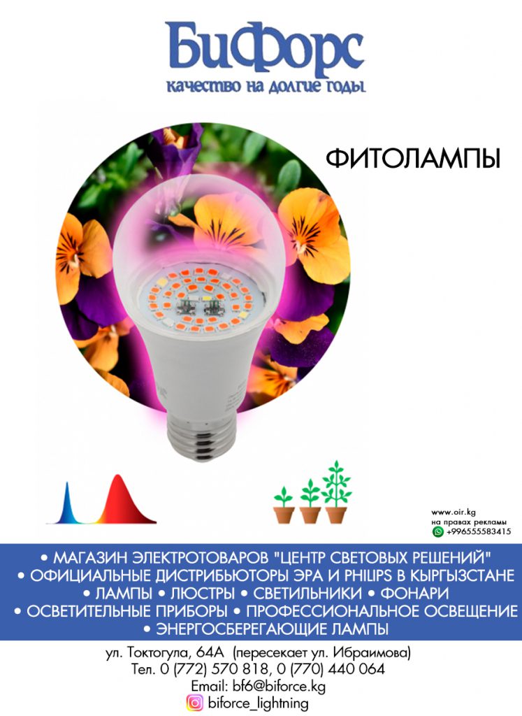 электротовары в Бишкеке фитолампы для растений